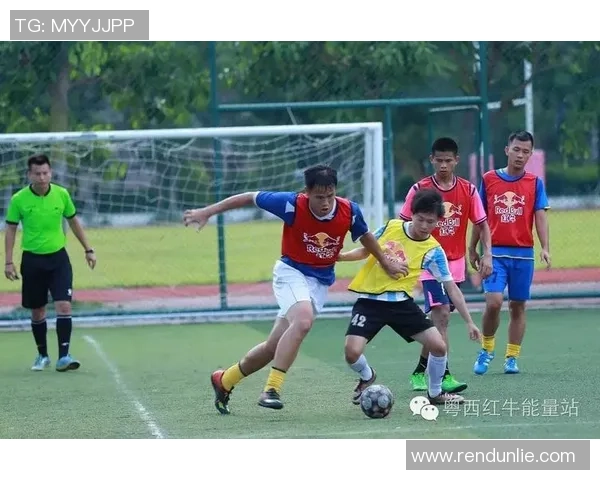 成都篮球队耐力争议引发热议球迷对球队表现的不同看法与期待